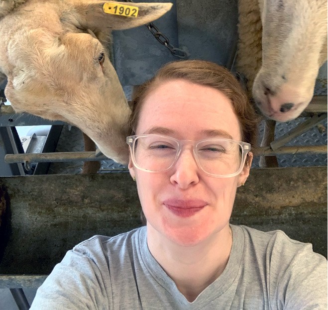 Leanna Mulvihiil MS ’20 at Willow Pond Sheep Farm. In 2021, Leanna worked there milking sheep on the weekends