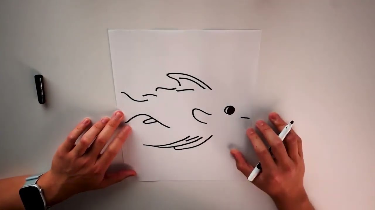 ShadowDraw fish